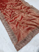 Sangani New Designer Brown Saree Launch
